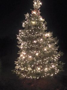 A captivating Christmas tree beautifully lit up at night.