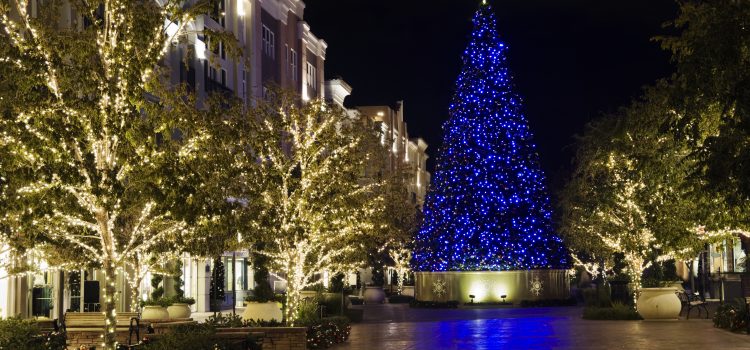 A large Christmas tree with blue lights in the middle of a plaza with other trees adorned with white holiday lights at night.