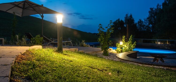 The Best Plants to Light Outdoors!
