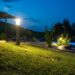 The Best Plants to Light Outdoors!